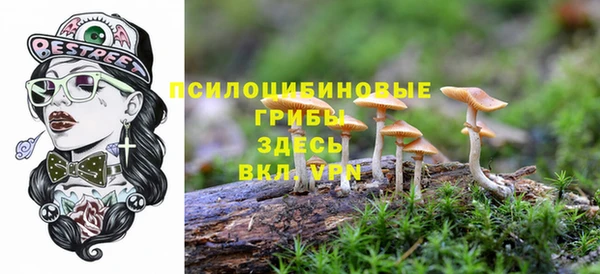 спайс Пестово