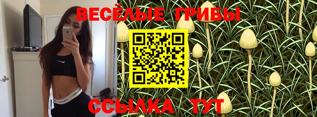 Котовск  как найти наркотики  Вход с VPN  Галлюциногенные грибы ЛСД 