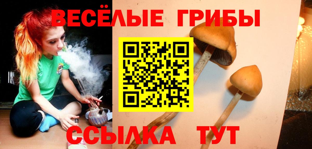 Псилоцибиновые грибы GOLDEN TEACHER Котовск