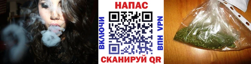 купить наркотик  Котовск  Конопля планчик 