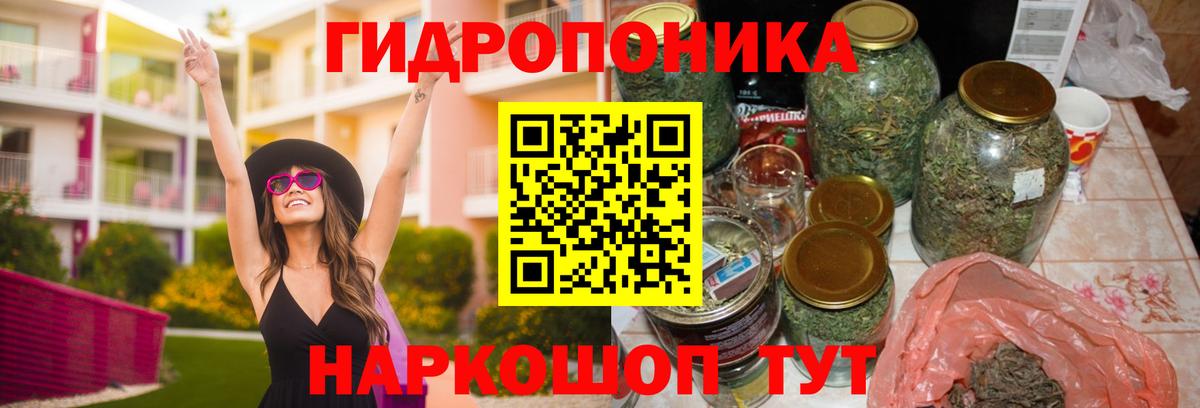 Бошки Шишки план  Вход с VPN  Котовск  Бошки марихуана Amnesia 